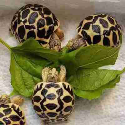 Peaceful p Profile Picture