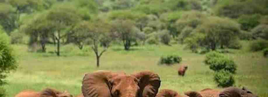 Wildlife game Cover Image